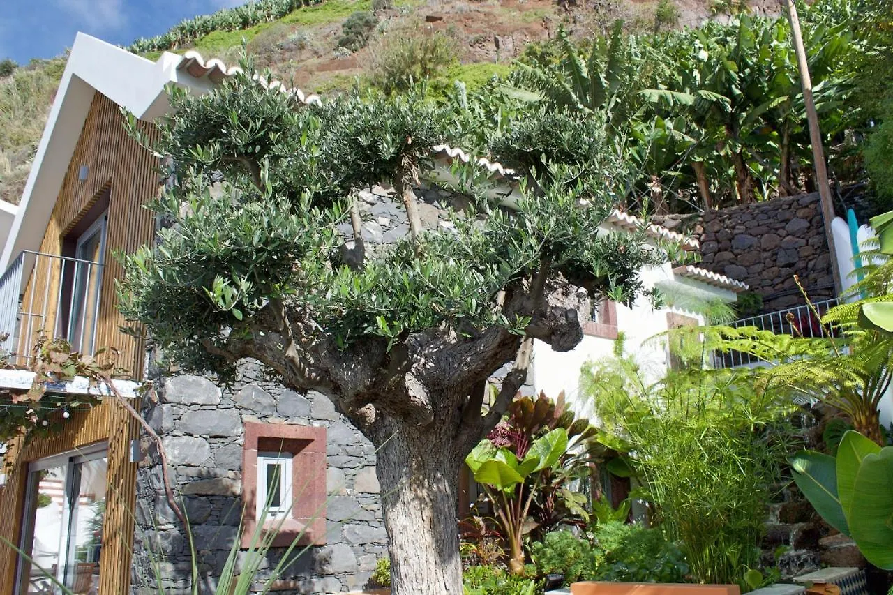 Ourmadeira - Villa Do Mar Iv, Secluded Calheta  Portogallo